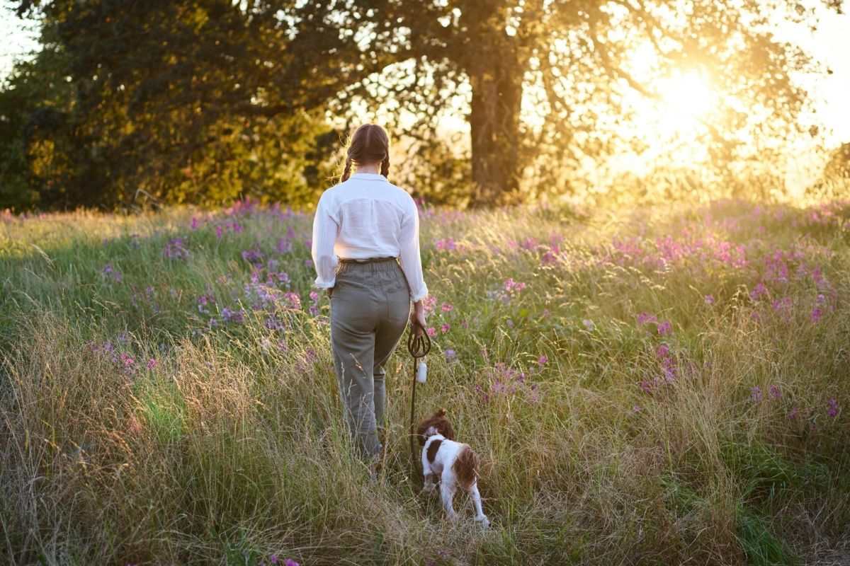 Dog Walking