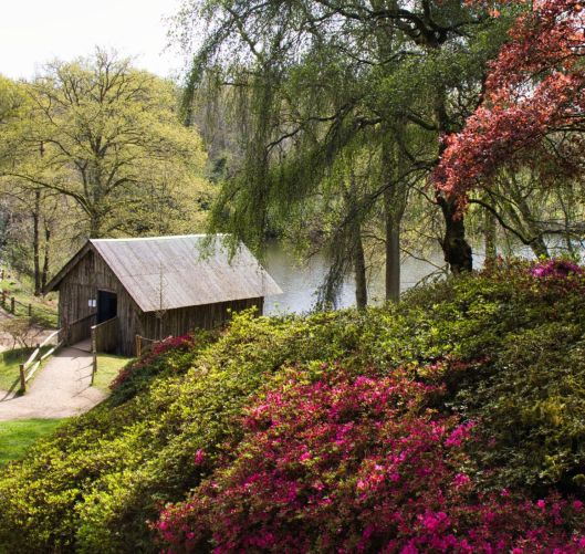 Winkworth Arboretum